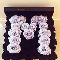 محمد حربي بطيبط avatar