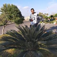 صبحي نصر avatar