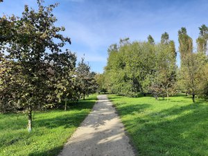 Oasi Verde Park