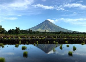 Mayon Volcano