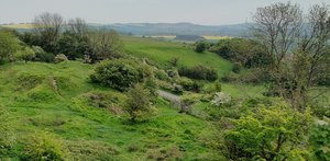 Cagar Alam Bukit Merah