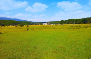 Parc forestier de Kocayayla