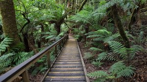 Great Otway National Park