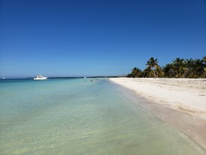 كايوس بلانكوس