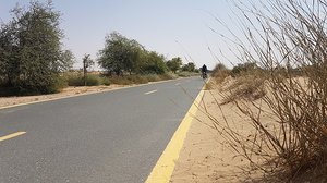 Al Qudra Cycle Track