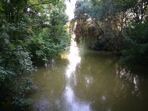 Lake Feher