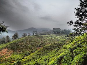 Taman Nasional Gunung Haleimon Salak