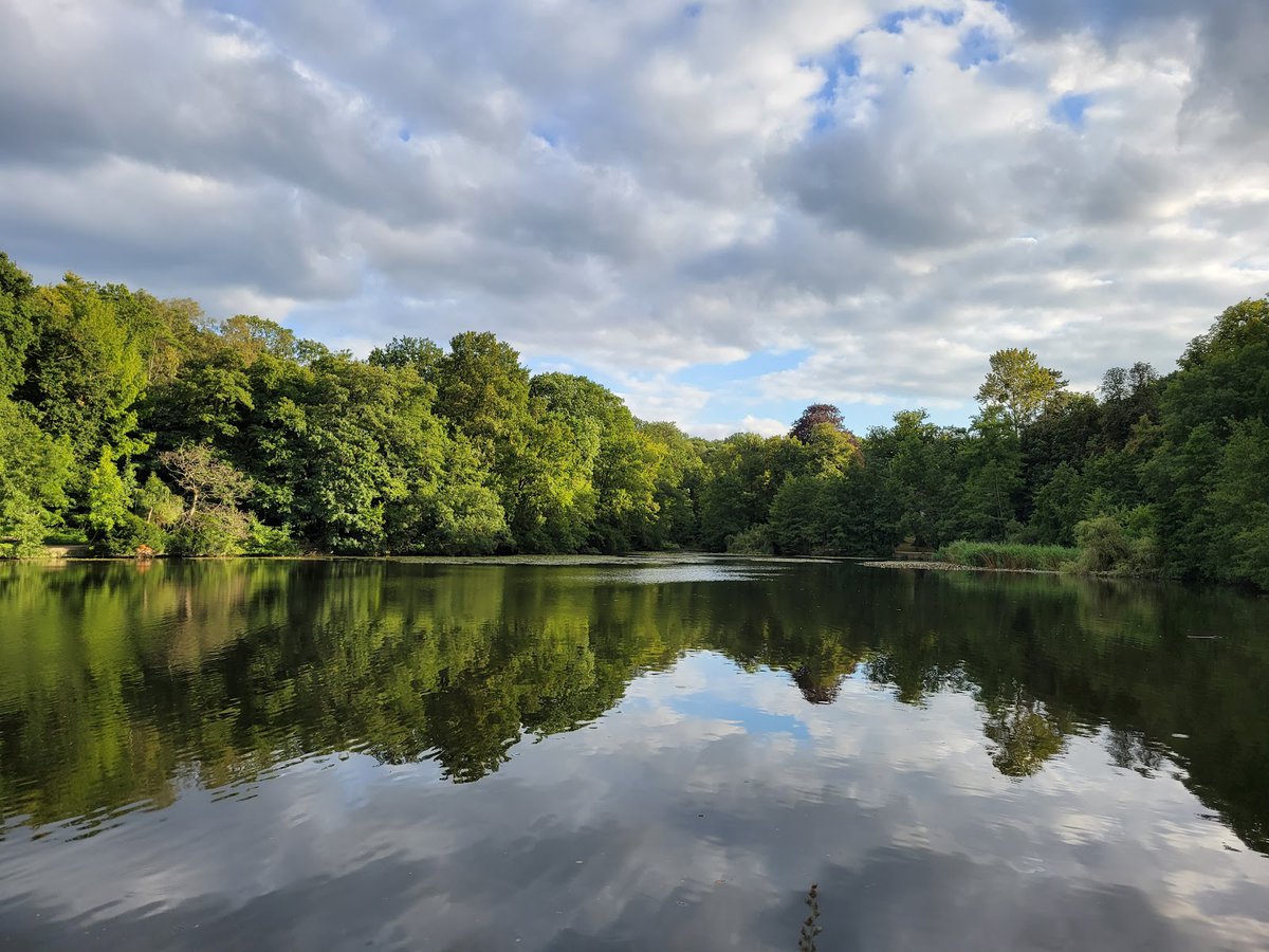 Malmaison Forest - باريس: Working hours, Activities, Visitor reviews