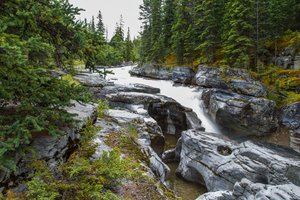 Canyon Maligne