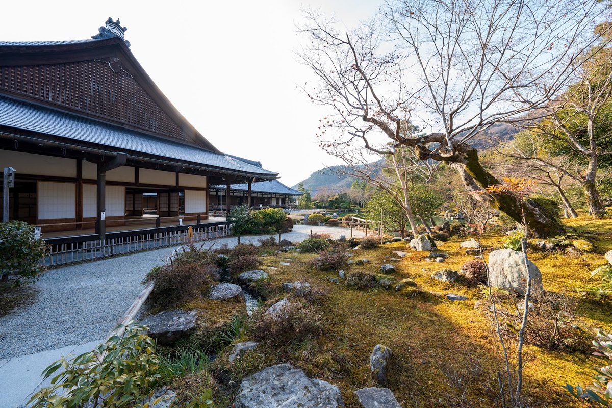 معبد تنریو جی - کیوتو: ساعات کاری, فعالیت‌ها, بازخوردهای بازدیدکنندگان