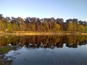 Leenderheide