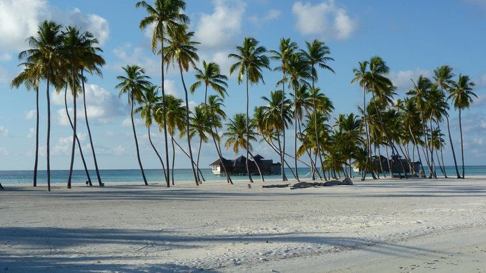 The best honeymoon destinations