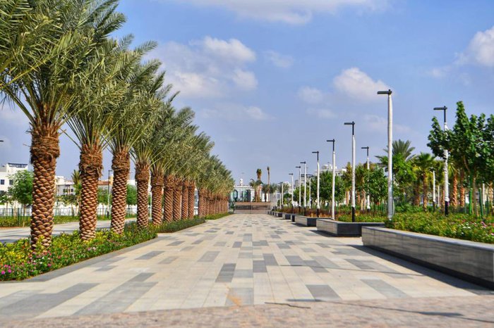 حديقة الامير ماجد جدة